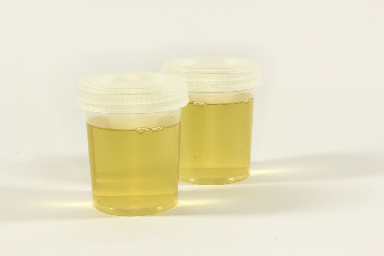 passing drug test with synthetic urine